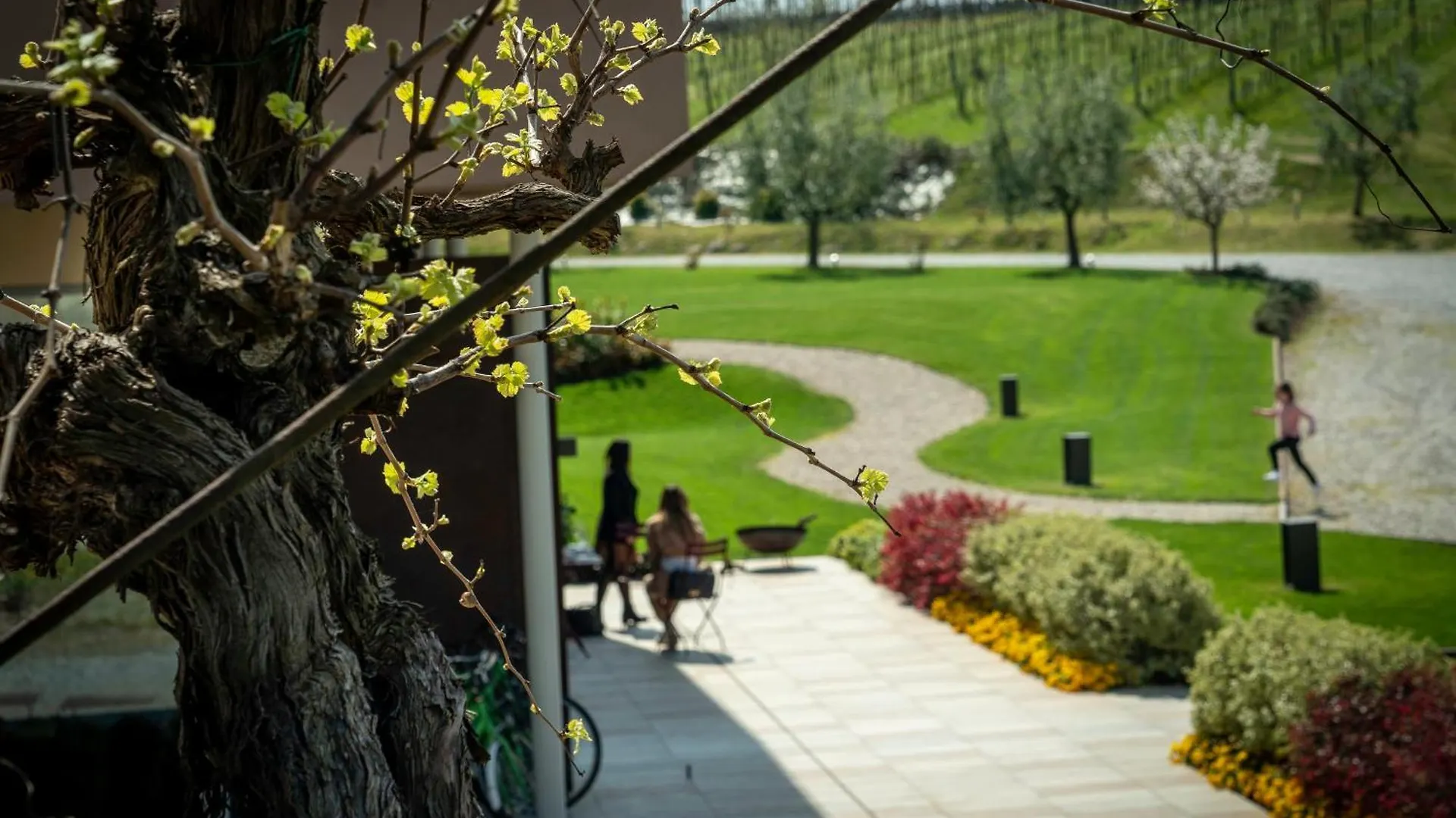 COBUE Wine resort&Spa Pozzolengo Apartment