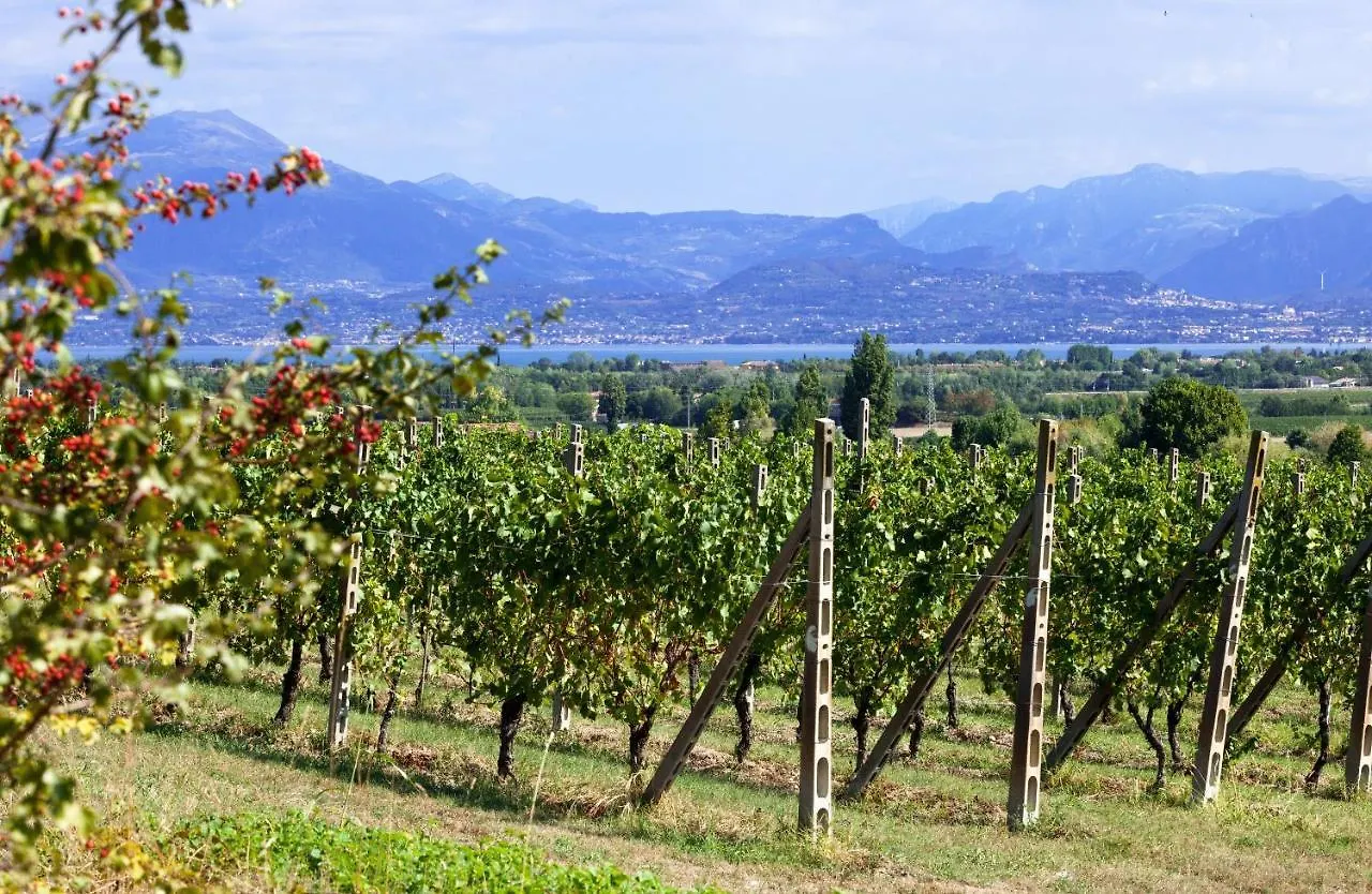COBUE Wine resort&Spa Pozzolengo 0*,  Italien